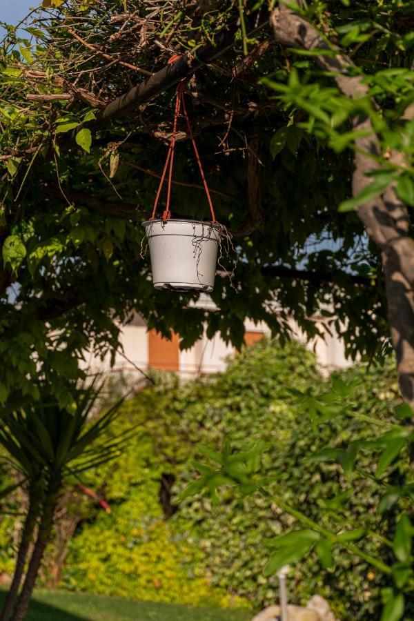 La Dimora Del Bue Apartman Matera Kültér fotó